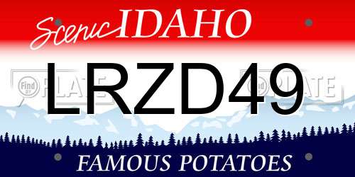 LRZD49 Idaho License Plate