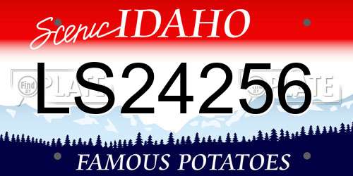 LS24256 Idaho License Plate