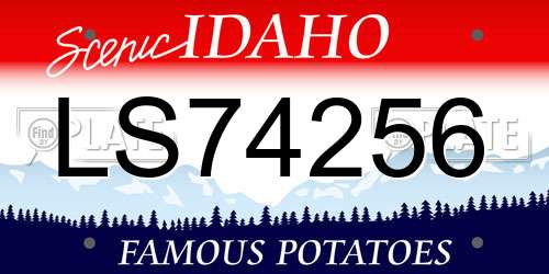 LS74256 Idaho License Plate