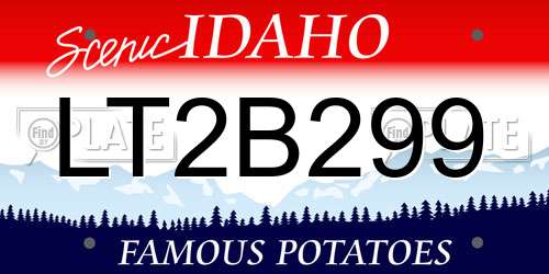 LT2B299 Idaho License Plate