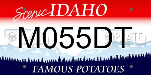 M055DT Idaho License Plate