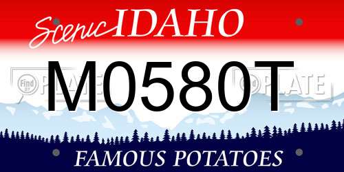M0580T Idaho License Plate