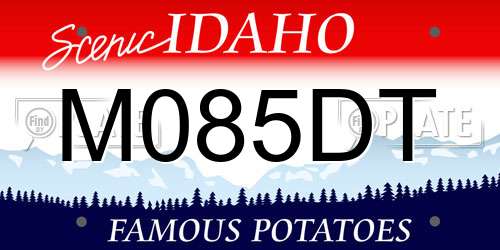 M085DT Idaho License Plate