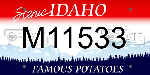 M11533 Idaho License Plate