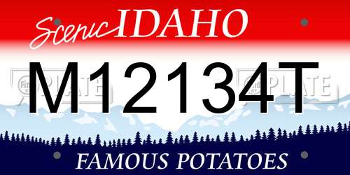 M12134T Idaho License Plate