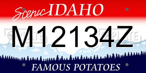 M12134Z Idaho License Plate