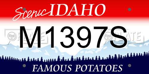 M1397S Idaho License Plate