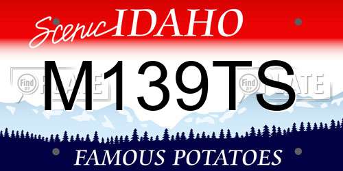 M139TS Idaho License Plate