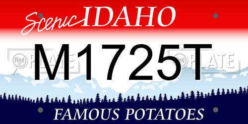 M1725T Idaho License Plate