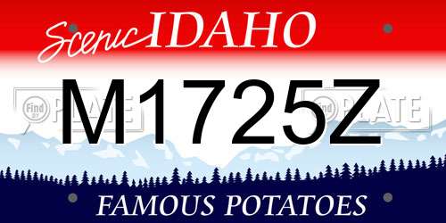 M1725Z Idaho License Plate