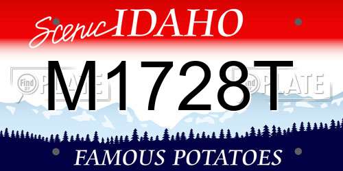 M1728T Idaho License Plate