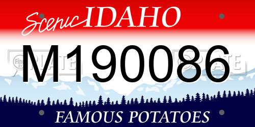 M190086 Idaho License Plate
