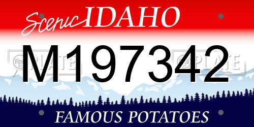 M197342 Idaho License Plate