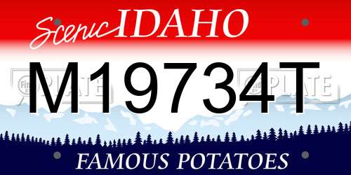 M19734T Idaho License Plate