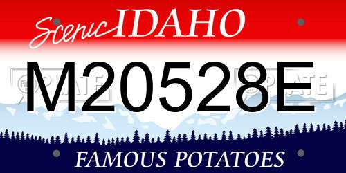 M20528E Idaho License Plate