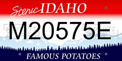 M20575E Idaho License Plate