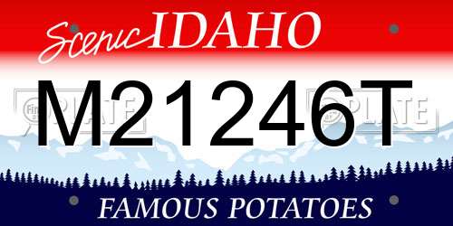 M21246T Idaho License Plate