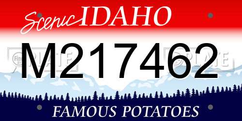 M217462 Idaho License Plate