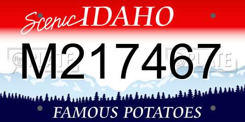 M217467 Idaho License Plate