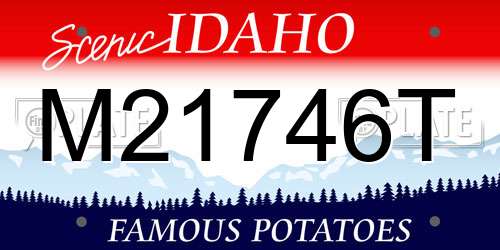 M21746T Idaho License Plate