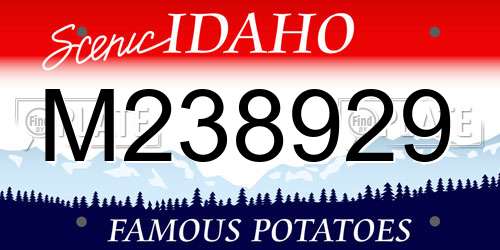 M238929 Idaho License Plate