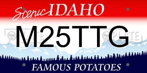 M25TTG Idaho License Plate