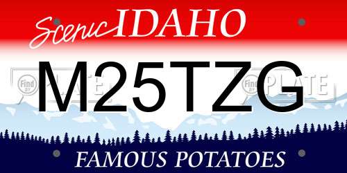 M25TZG Idaho License Plate
