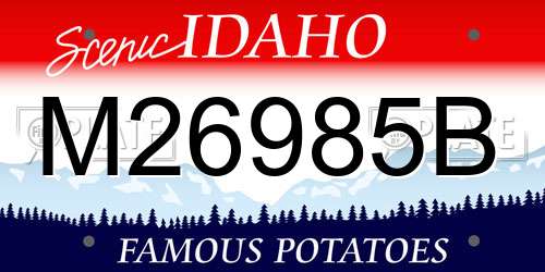 M26985B Idaho License Plate