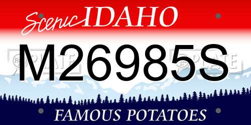 M26985S Idaho License Plate