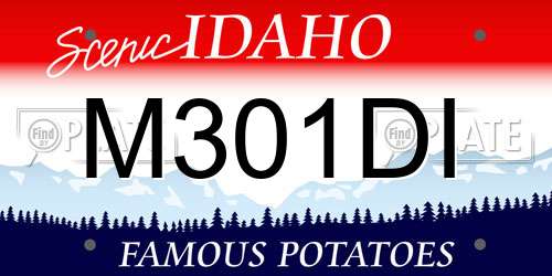 M301DI Idaho License Plate