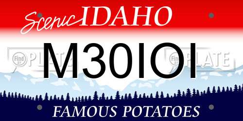 M30IOI Idaho License Plate