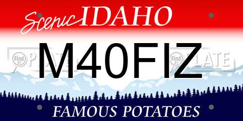 M40FIZ Idaho License Plate