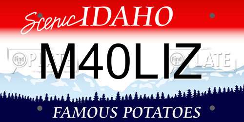 M40LIZ Idaho License Plate