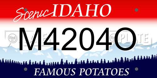 M4204O Idaho License Plate