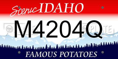 M4204Q Idaho License Plate