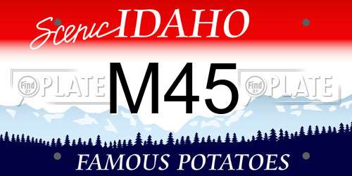 M45 Idaho License Plate