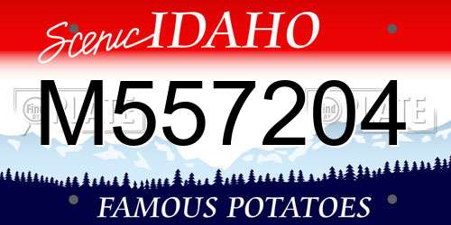 M557204 Idaho License Plate