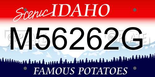 M56262G Idaho License Plate