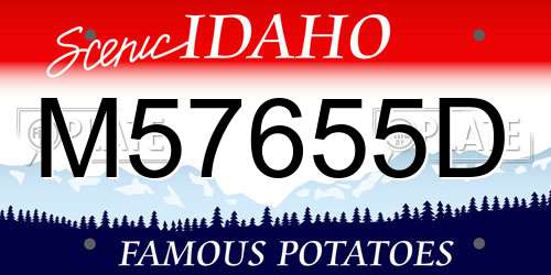 M57655D Idaho License Plate