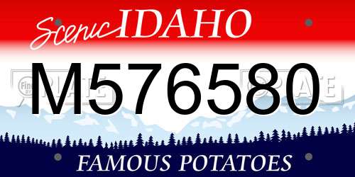 M576580 Idaho License Plate