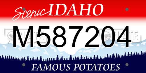 M587204 Idaho License Plate