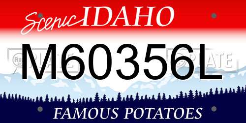 M60356L Idaho License Plate