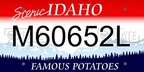 M60652L Idaho License Plate