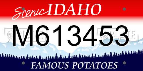M613453 Idaho License Plate