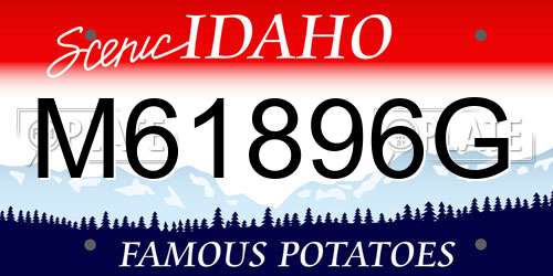 M61896G Idaho License Plate