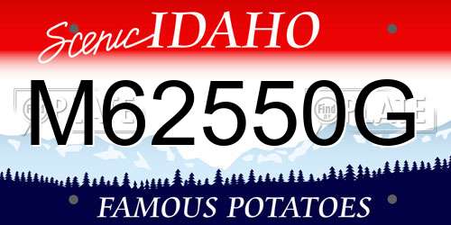 M62550G Idaho License Plate