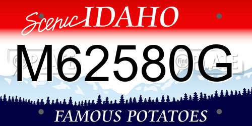 M62580G Idaho License Plate
