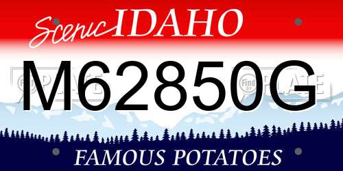 M62850G Idaho License Plate