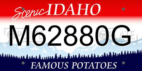 M62880G Idaho License Plate