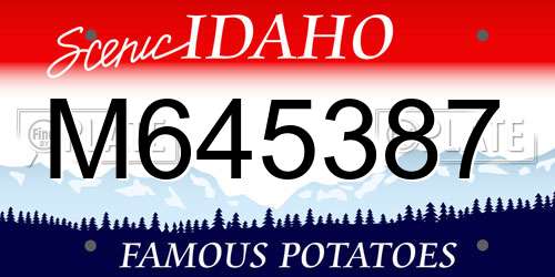 M645387 Idaho License Plate